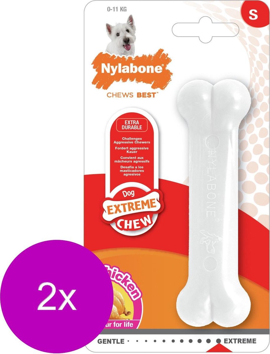 Nylabone Durable Bone Regular Hondensnack - Tot 10 Kg - 2 St
