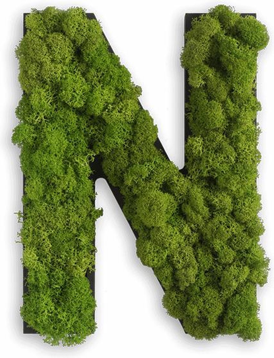 Stylegreen Alfabet letters A t/m Z - Reindeer moss - 25cm