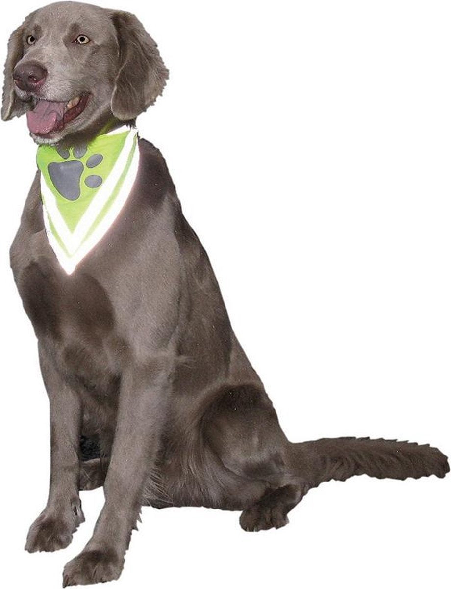 Nobby veiligheidsbandana reflecterend max. 54 cm groen 62 cm x 33 cm x 2