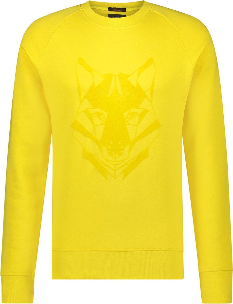 Haze&Finn Pullover Ronde Hals Geel (MU15-0403 - Maize)