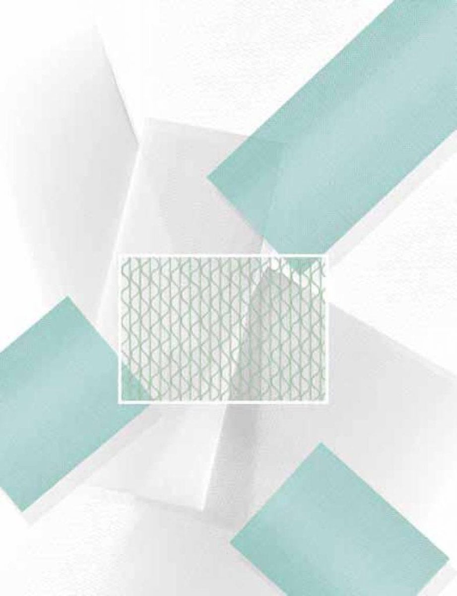 Cleanlight filter voor Air purifier 100m3 230V