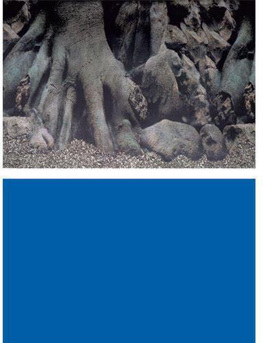 Superfish - Aquariumdecoratie -  Poster - 100 X 49 cm