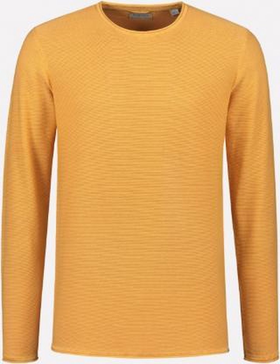 Dstrezzed Pullover Ronde Hals Slim Fit Oranje (405254 - 441)