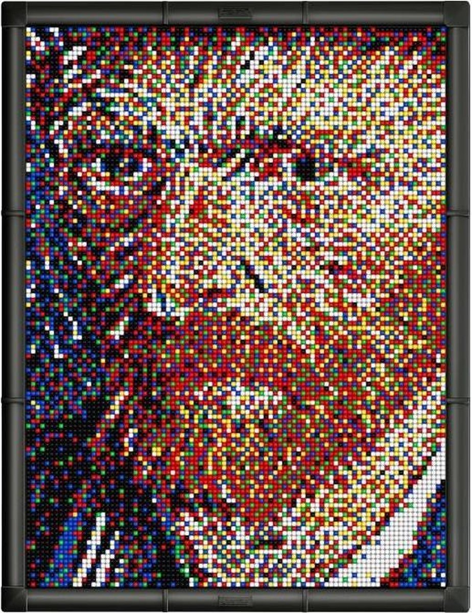 Quercetti Pixel Art Foto 54 X 41 Cm 14800-delig