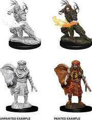 D&D Nolzur's Marvelous Miniatures: Human Druid
