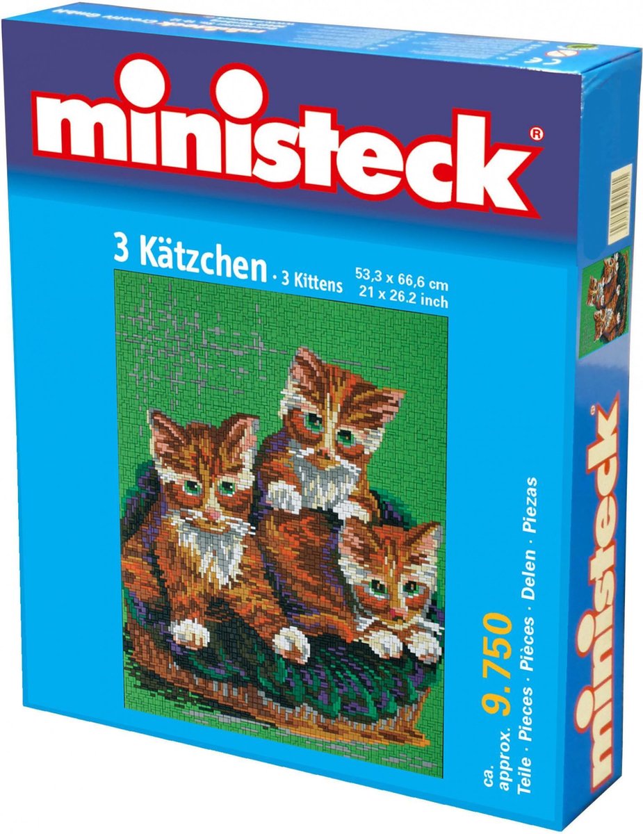 Ministeck: 3 Katten