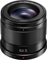 Panasonic H-HS043E MILC Telelens Zwart