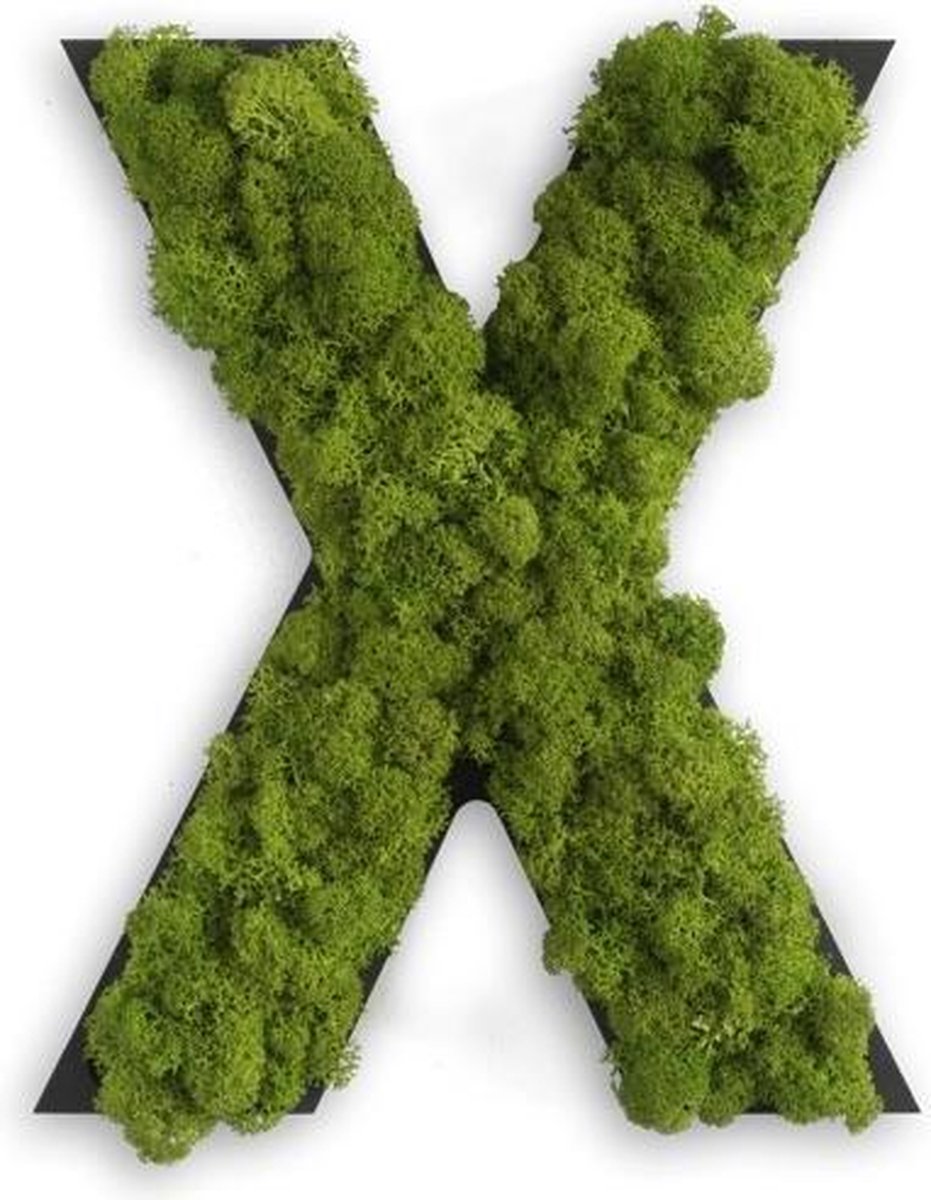 Stylegreen Alfabet letters A t/m Z - Reindeer moss - 25cm