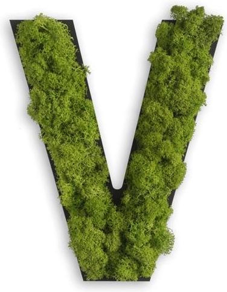 Stylegreen Alfabet letters A t/m Z - Reindeer moss - 25cm