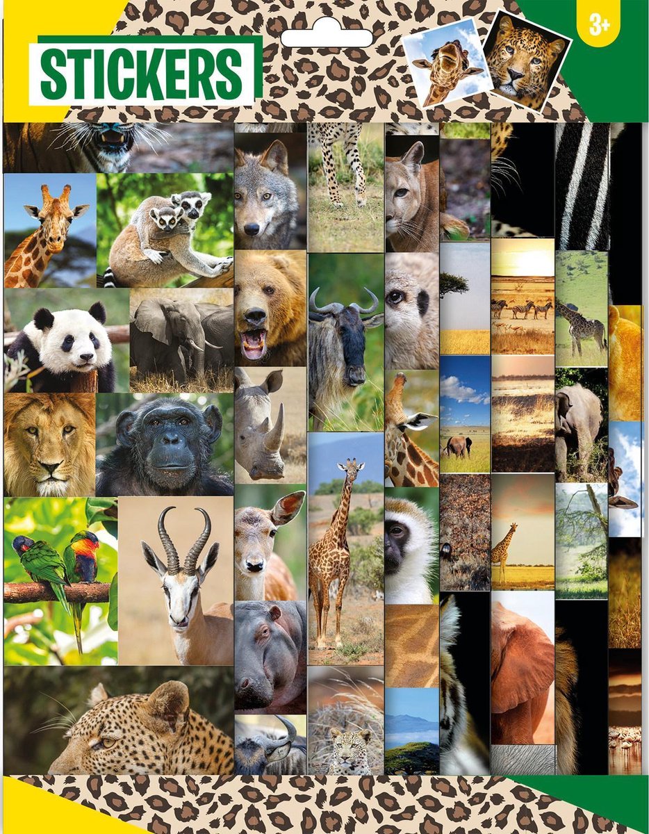 W&o Stickerset Junior 21 X 29