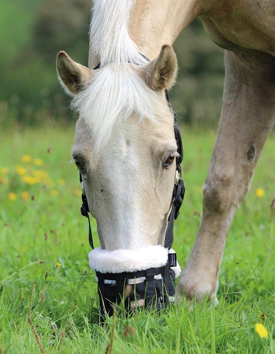 Graasmasker Shires Deluxe (495NF)