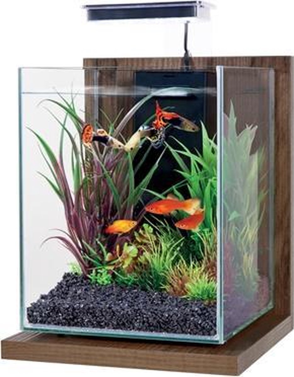 Zolux aquarium kit jalaya walnut bruin - 22x23x34
