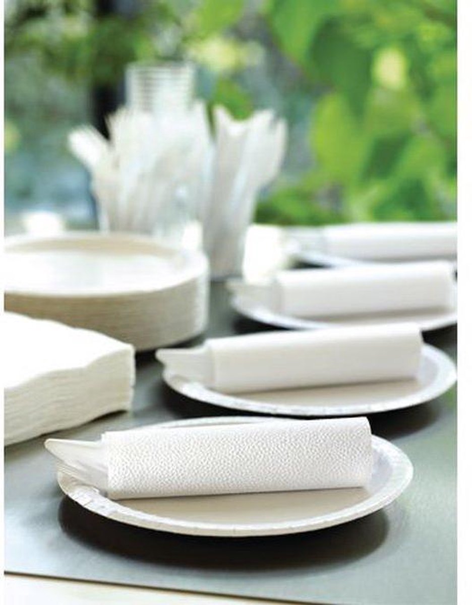 Duni Wegwerp servetten 2-laags GROEN 24 x 24 cm verpakking van 300 stuks