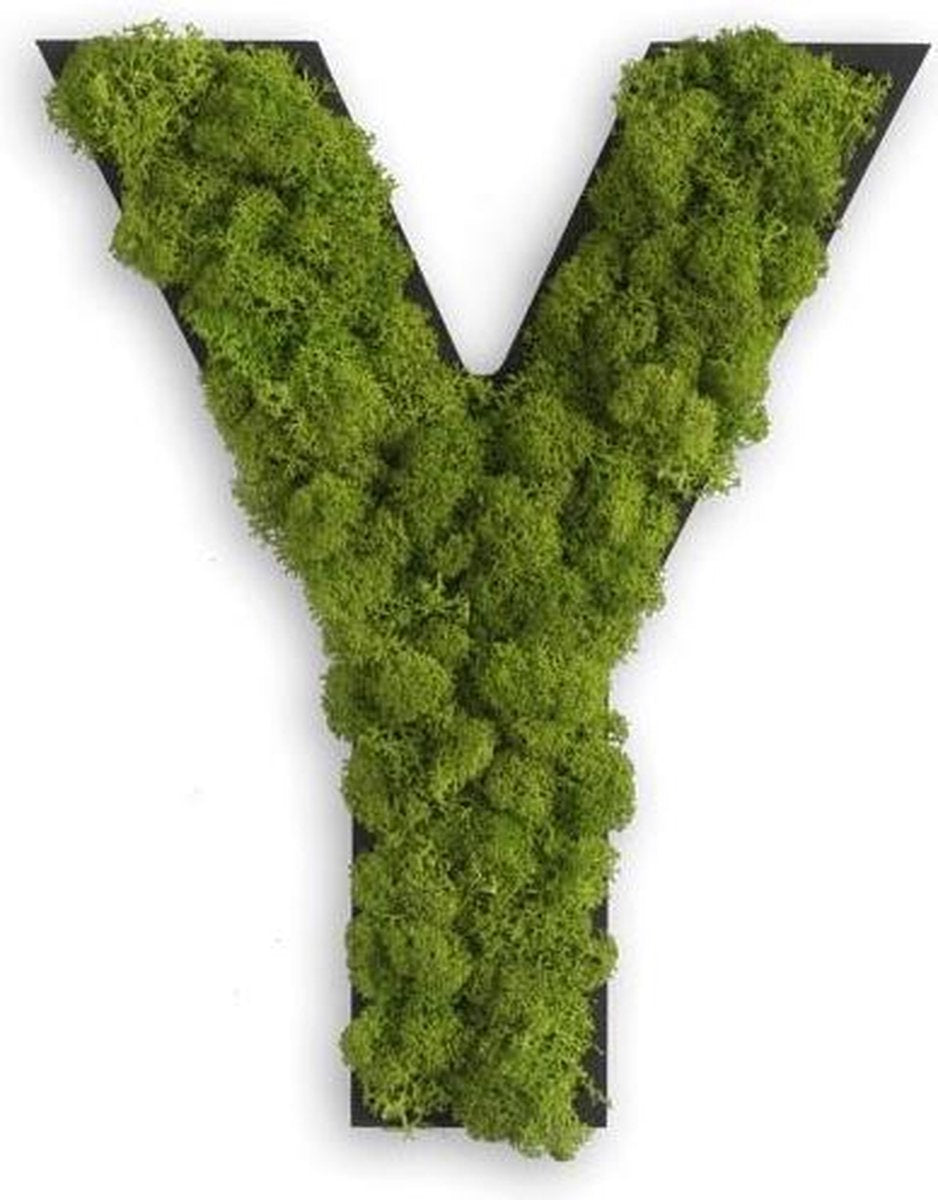 Stylegreen Alfabet letters A t/m Z - Reindeer moss - 25cm