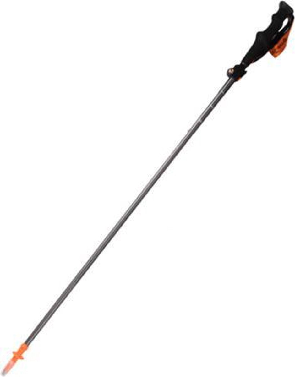 Acecamp wandelstokken (set) Trekking 5-delig - Aluminium 7075