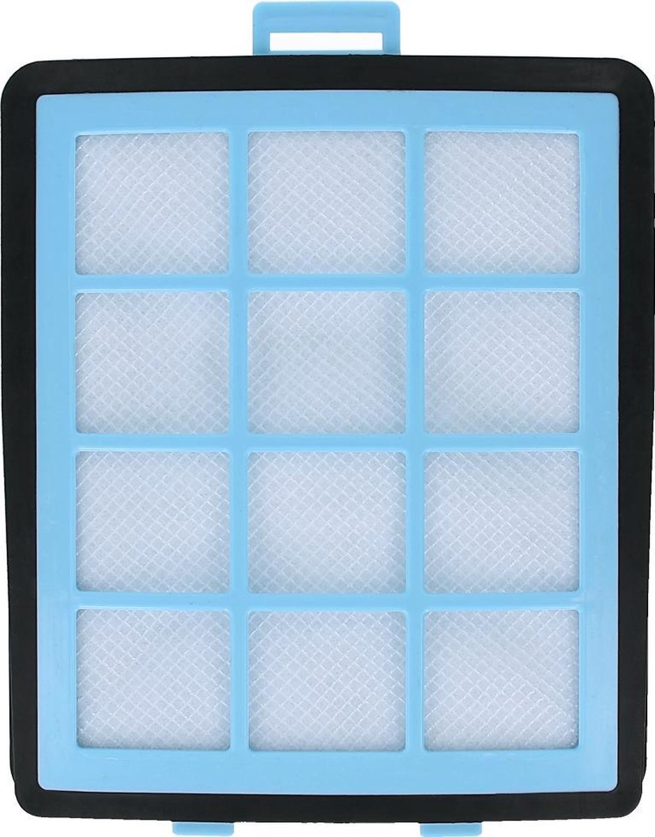 HEPA Filter 432200533151 voor Philips PowerPro