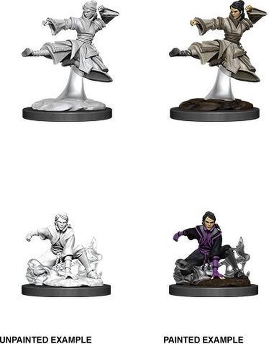 D&D Nolzur's Marvelous Miniatures: Human Monk