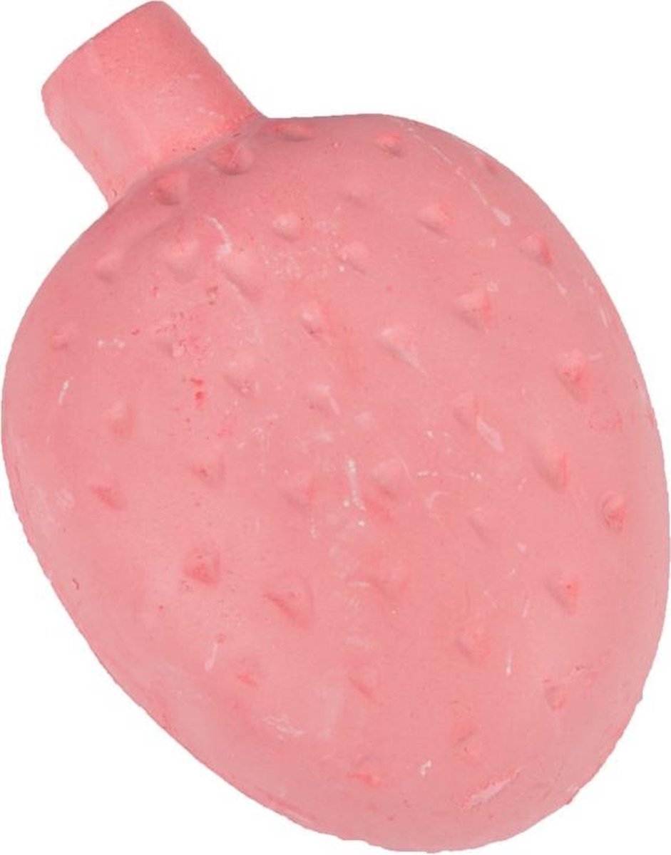 Rodent stone vitamin strawberry