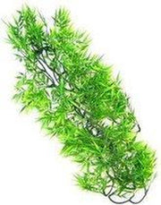 ZooMed - naturalistic flora - borneo star - medium - terrariumplant
