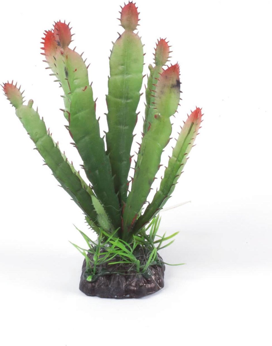 RepTech Terrarium Plant Full Cactus