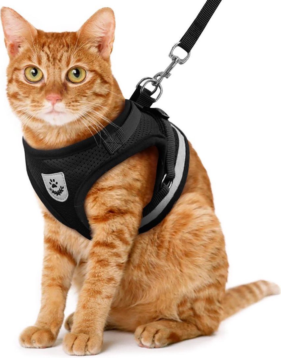 Kattentuigje