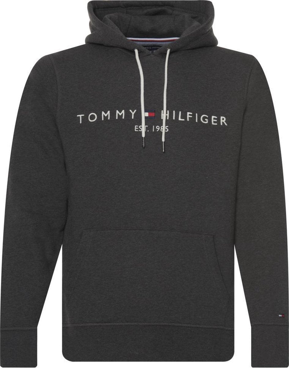 Tommy Hilfiger Menswear Hoodie Heren