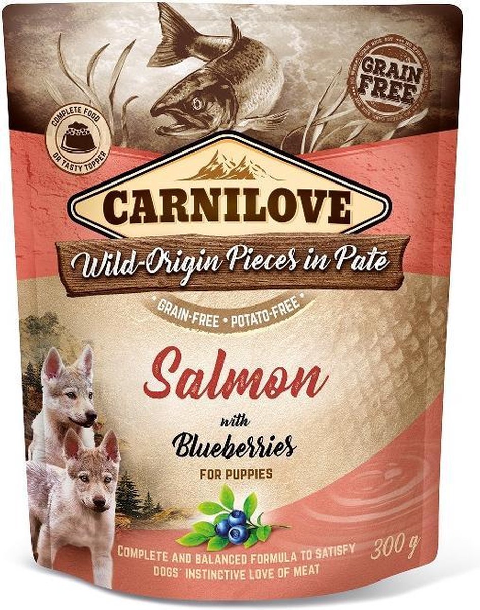 Carnilove Dog Pouch Pate Salmon with Blueberries for Puppy's 300 gram -  - Honden droogvoer