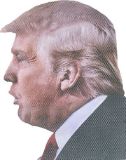 Thumbsup! Autoraamsticker Ride With Donald Trump 20 X 20 Cm Vinyl