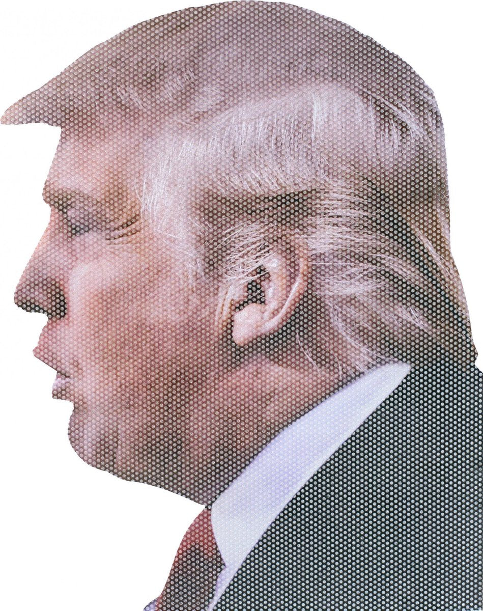 Thumbsup! Autoraamsticker Ride With Donald Trump 20 X 20 Cm Vinyl