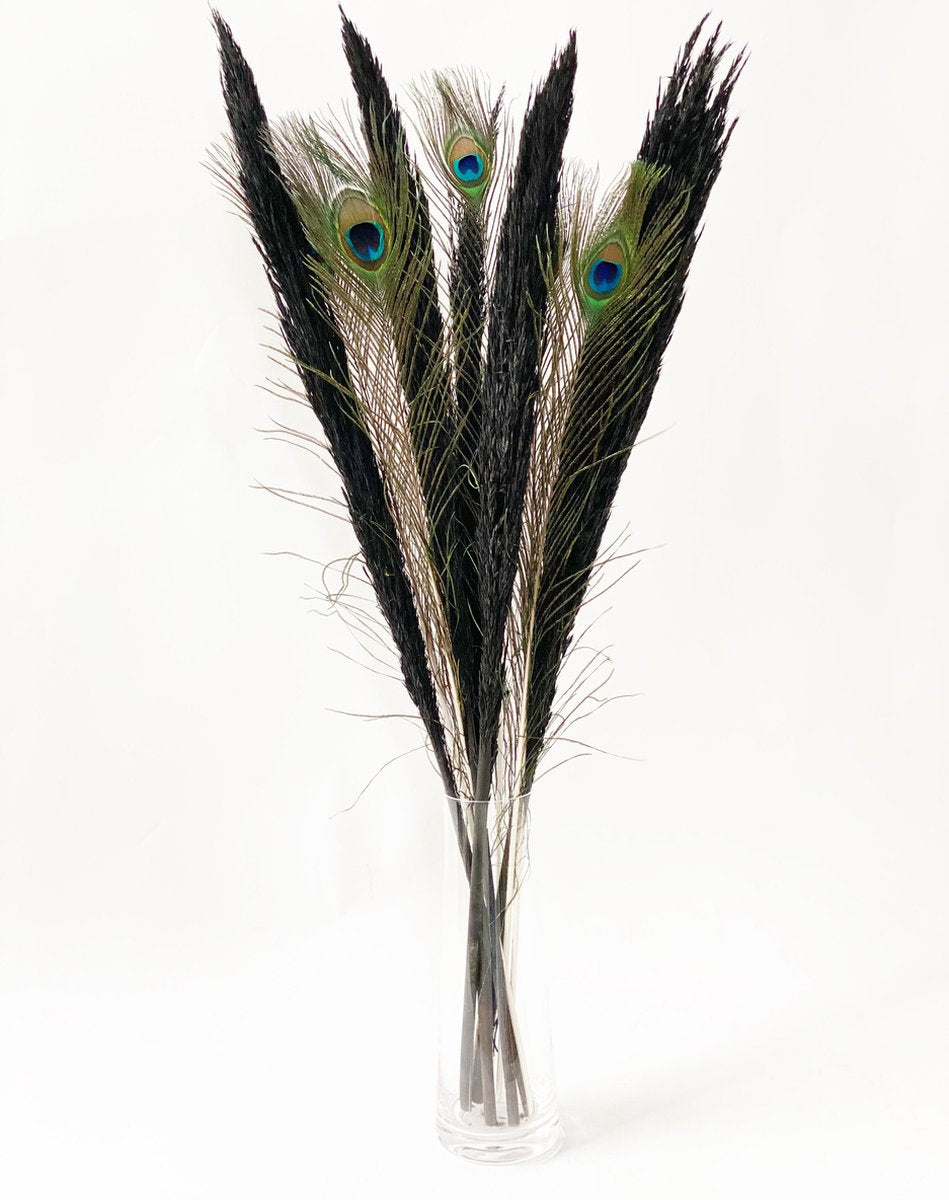 Pampasgras Zwart | Pampas pluimen Zwart | Pampas pluimen Zwart gedroogd | 5 Rietpluimen Zwart gecombineerd met 5 stuks pauwenveren| Droogbloemen | 80 cm | 10 stuks