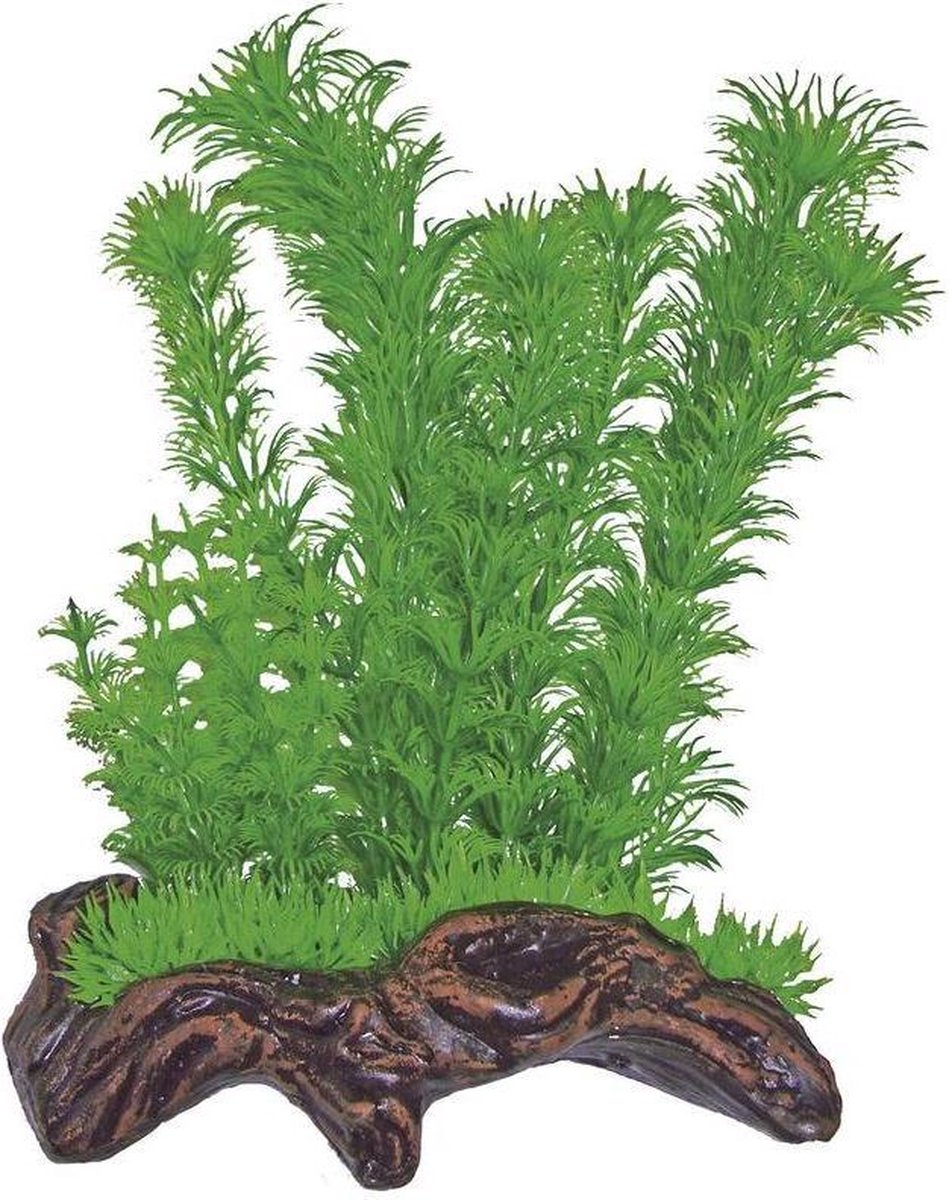 Superfish nano wood garden nr 1