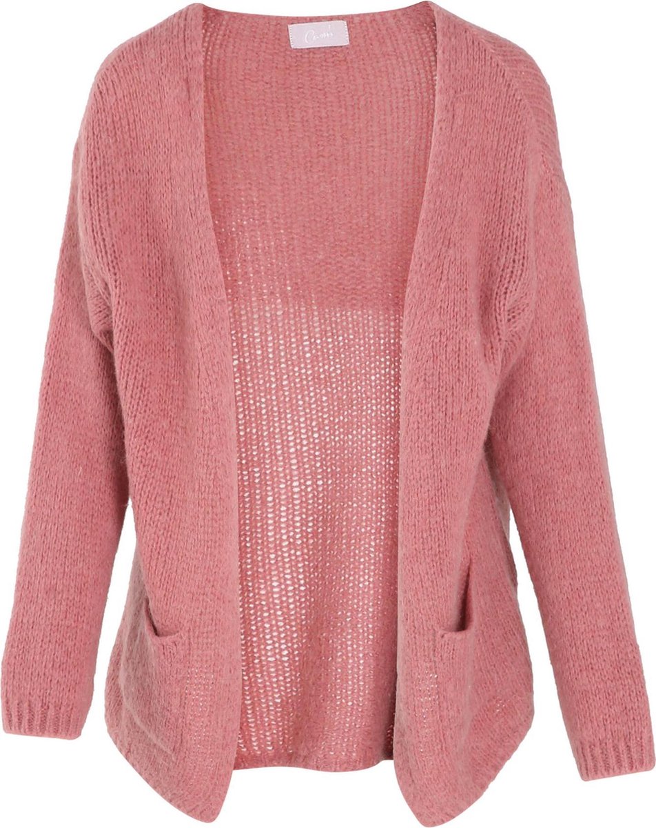 Cassis - Dikke cardigan - Oudroze