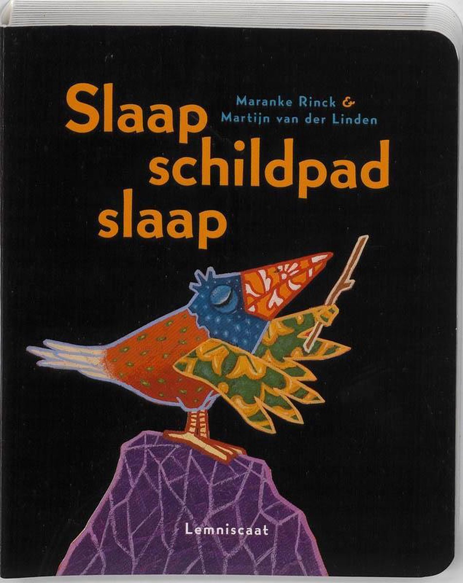 Lemniscaat Slaap schildpad slaap. 2+