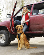Kurgo Enhanced Strength Tru-Fit Dog Car Harness - Veiligheidsharnas