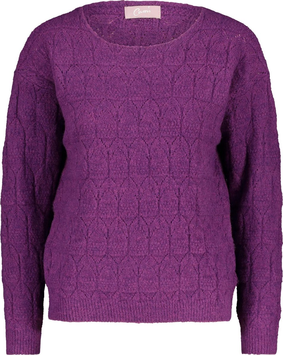Cassis - Trui in jacquardtricot - Violet