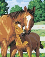 Schilderen op nummer paard met veulen (zonder frame)