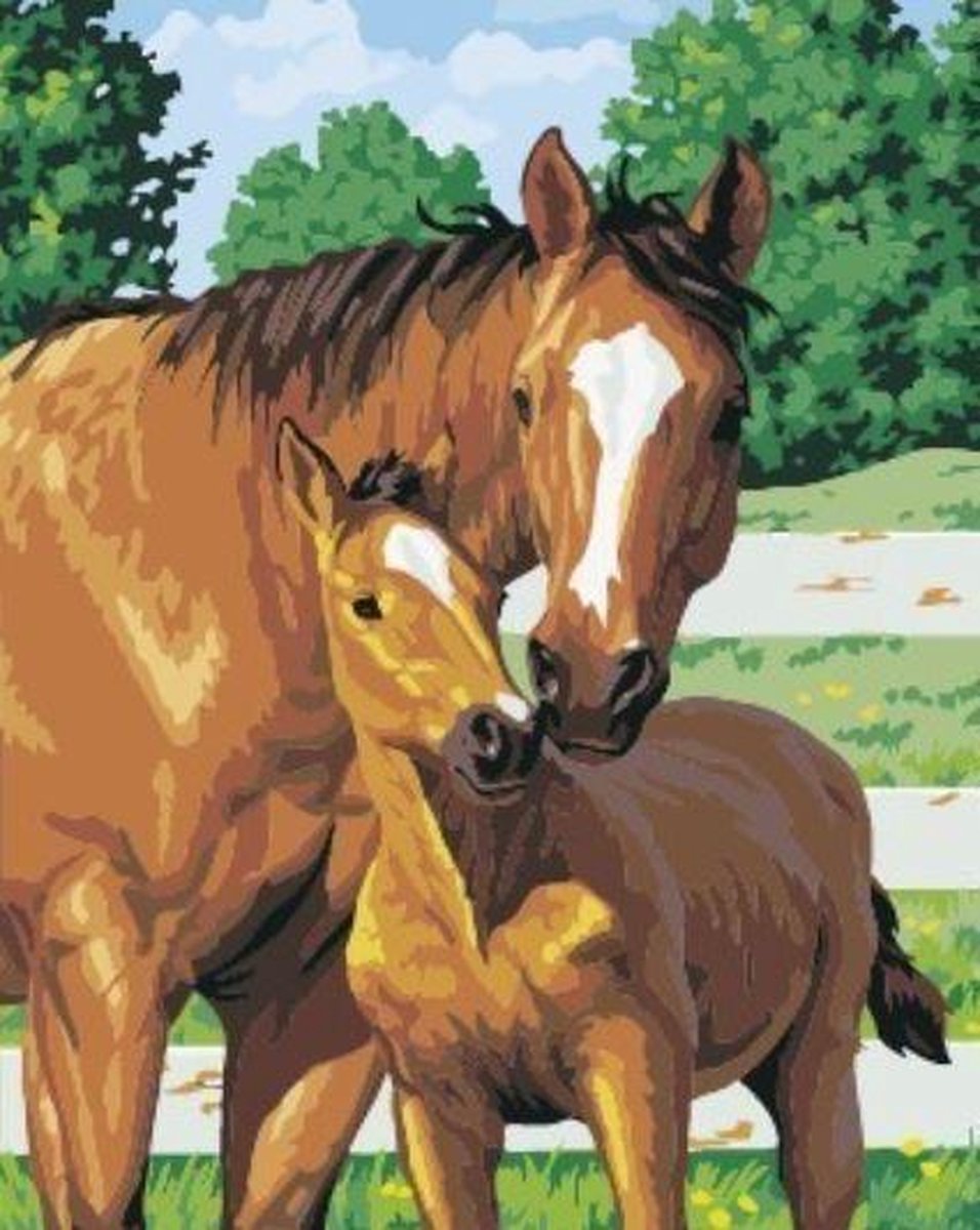 Schilderen op nummer paard met veulen (zonder frame)