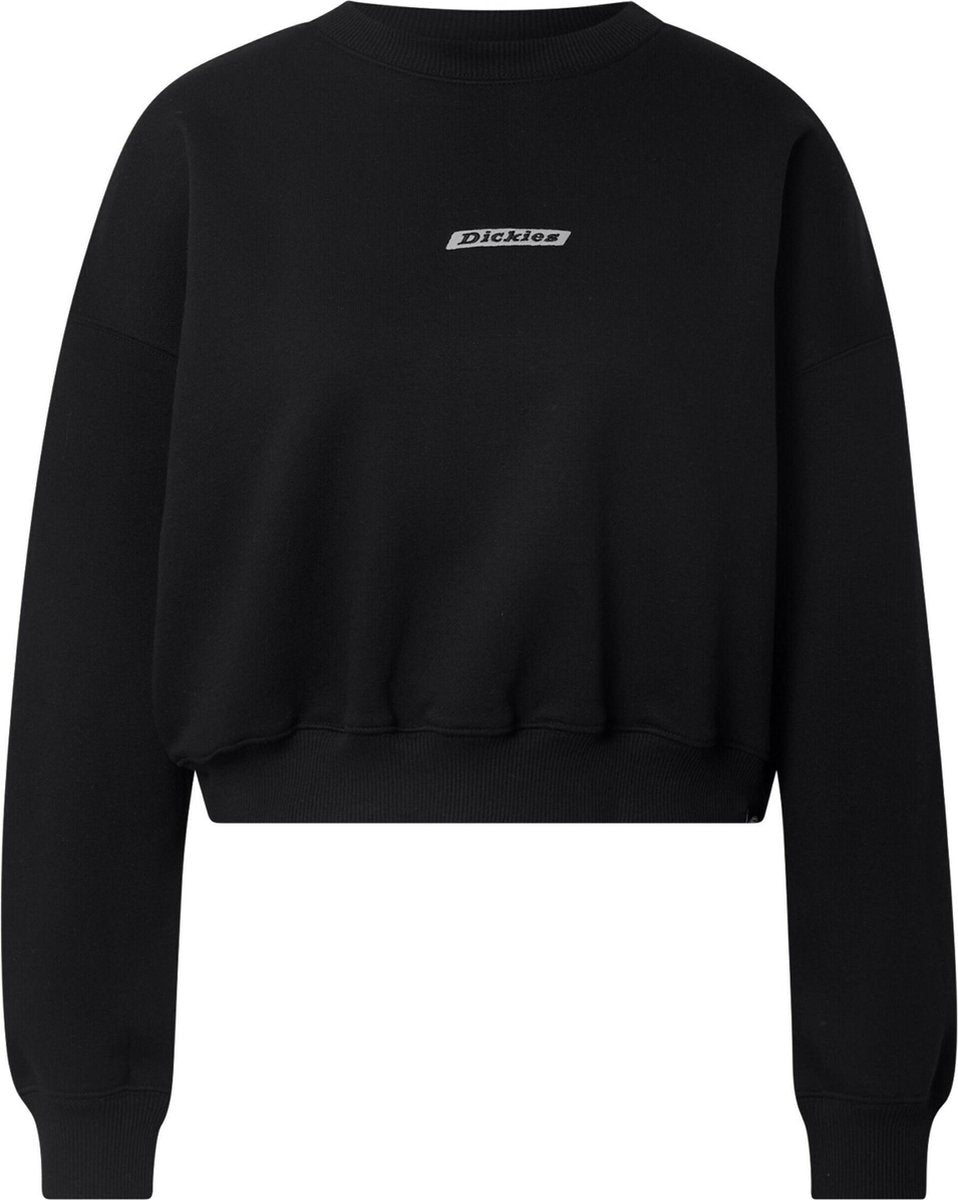 Dickies sweatshirt ferriday Wit-L