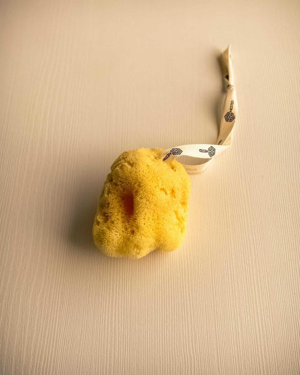 Nested | Fina Silk Natural Sea Sponge | Natuurlijke gezichtsreinigingsspons