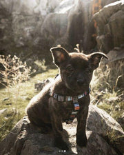 Honden Harnas met Indiaanse  design - Wolfgang NativeLine Hondentuigje - in S/M/L/XL - Extra Large