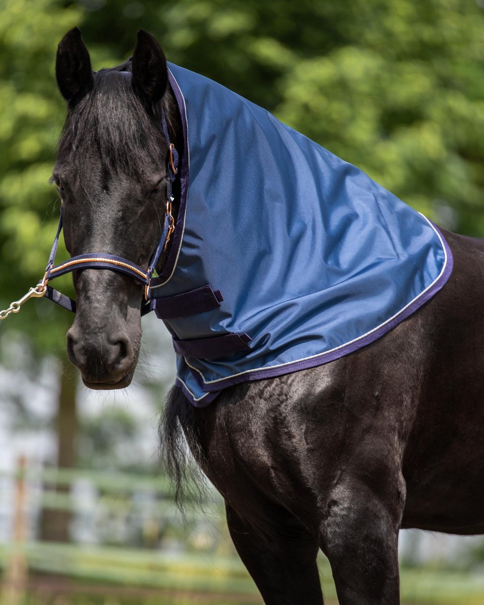 FRYSKWARE CROSS Losse Hals