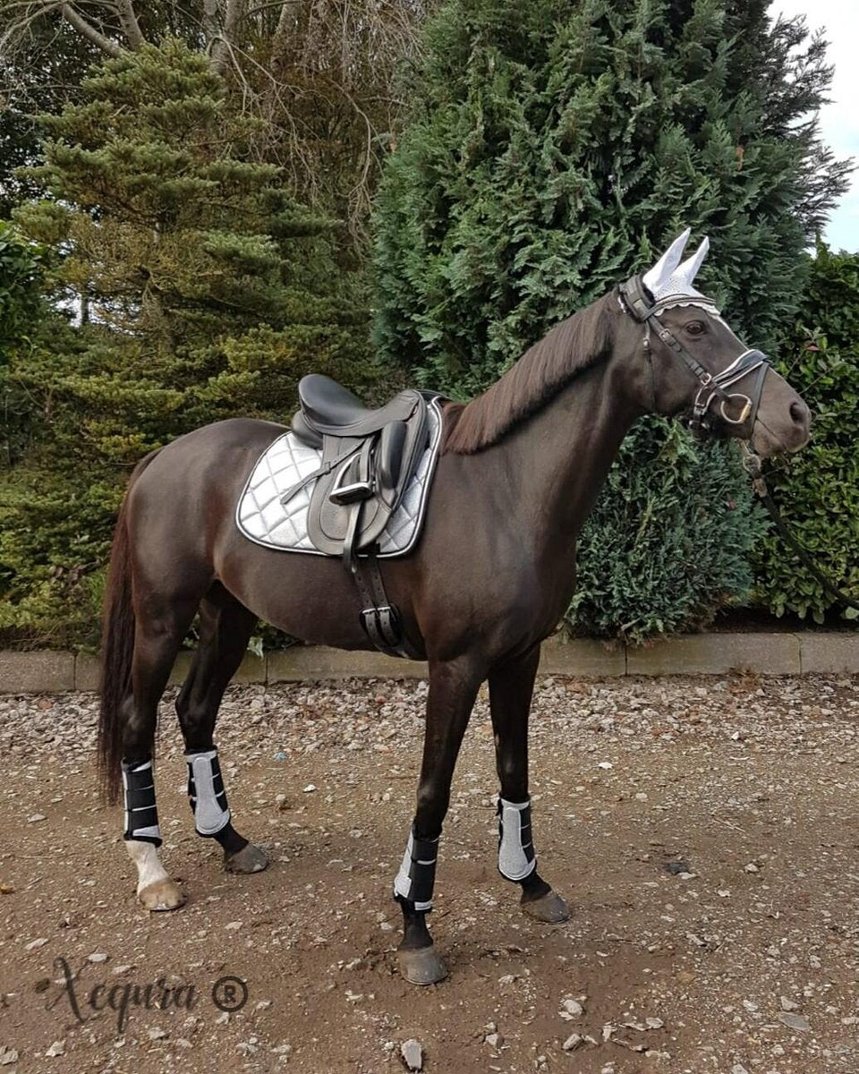 Shine Silver - Paard Pony COB - Complete set - Dekje
