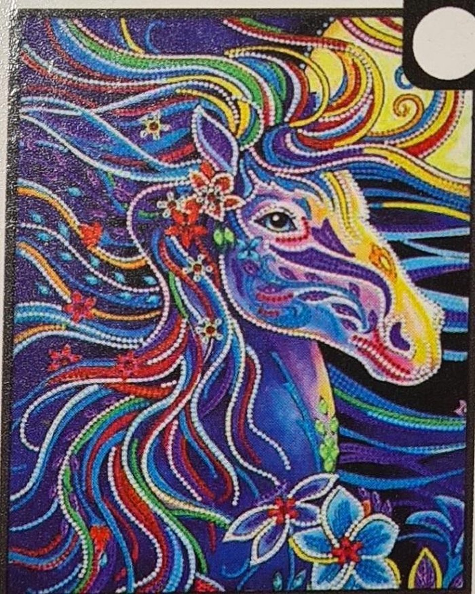 Diamond painting 'Glow in the Dark' 25x35 | paardenhoofd | NIEUW | Glow in the dark