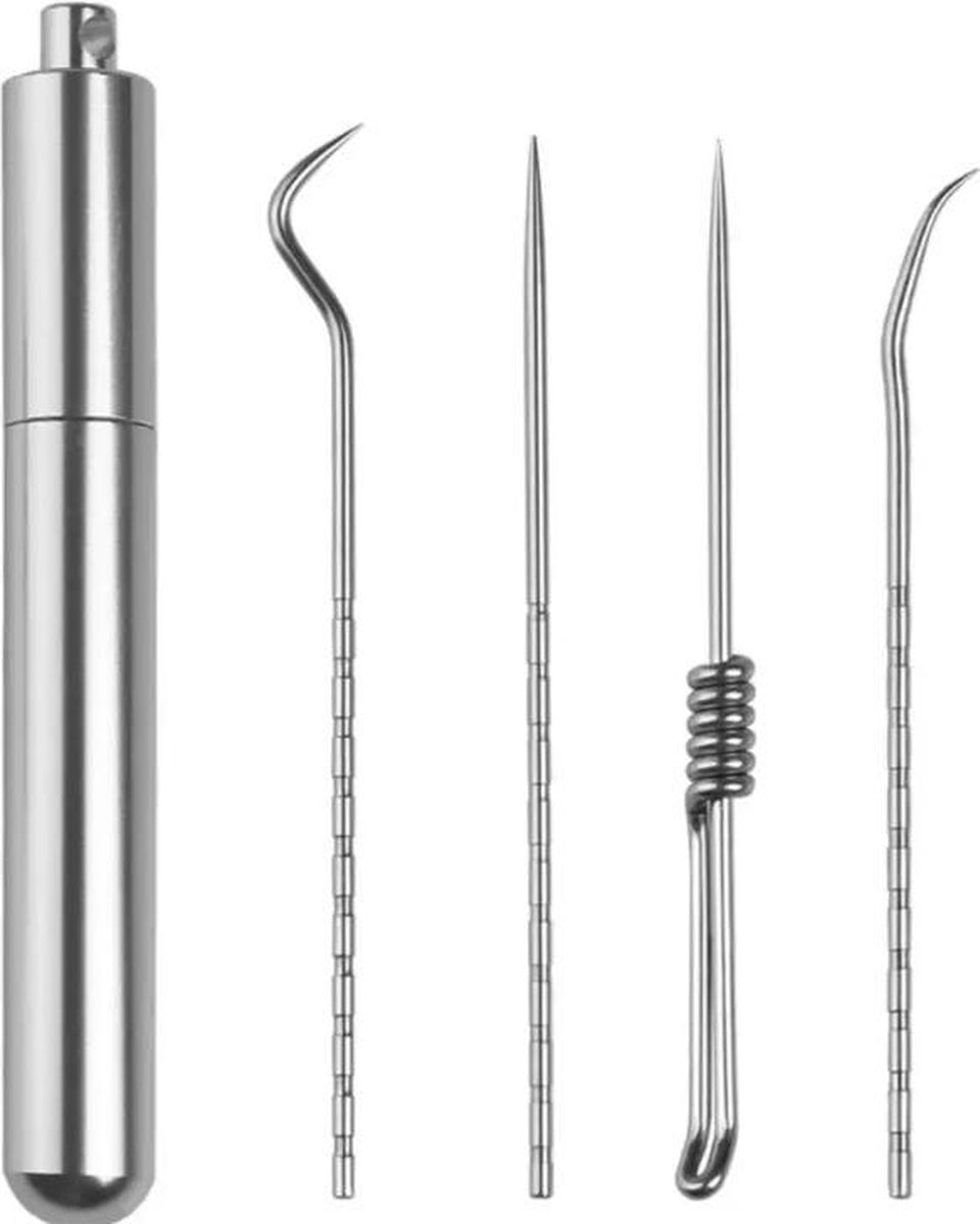4-delige tandverzorging tandarts set - Stainless Steel - Tandplakverwijderaar