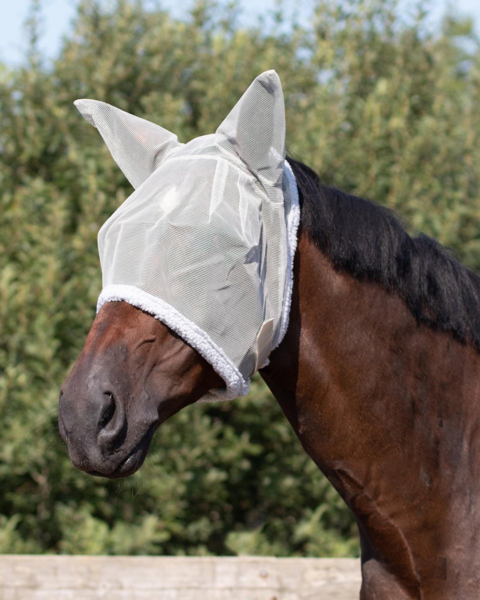 Vliegenkap met oren - Pony