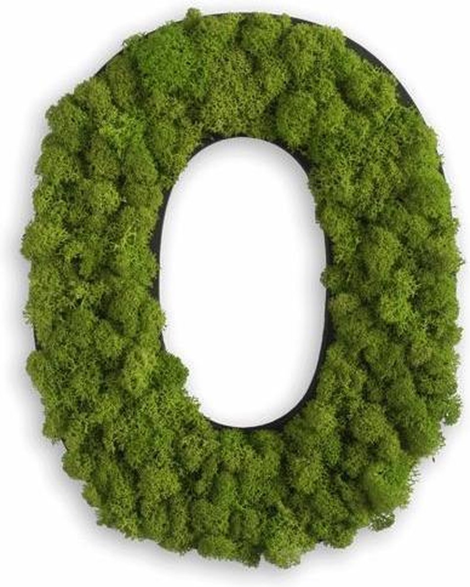 Stylegreen Alfabet letters A t/m Z - Reindeer moss - 25cm
