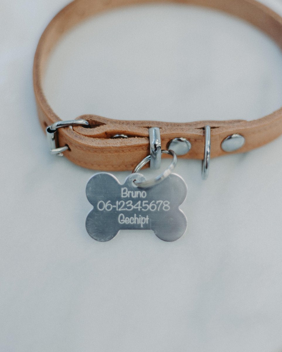 Hondenpenning groot zilver | 2 zijden graveren | 40x28 mm