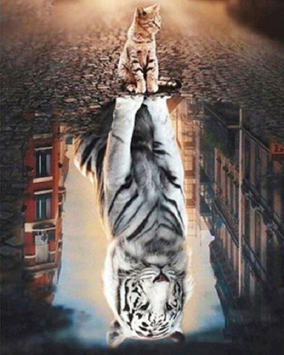 Paint By Numbers - Schilderen op Nummer - The Dreams of a Kitten - 50x40cm - Volwassenen & Kinderen - Stipco