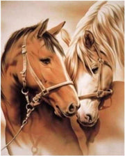 Schilderen op nummer paarden (zonder frame)