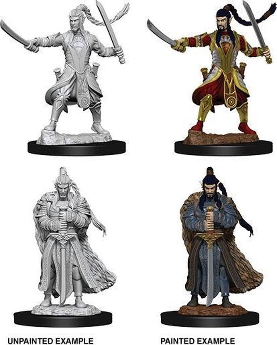 D&D Nolzur's Marvelous Miniatures - Male Elf Paladin